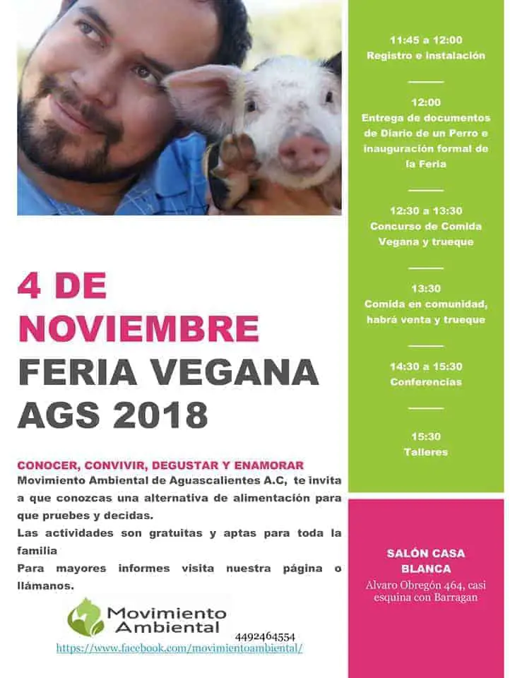 Lee más sobre el artículo Feria Vegana en Aguascalientes, México, este 4 de Noviembre
