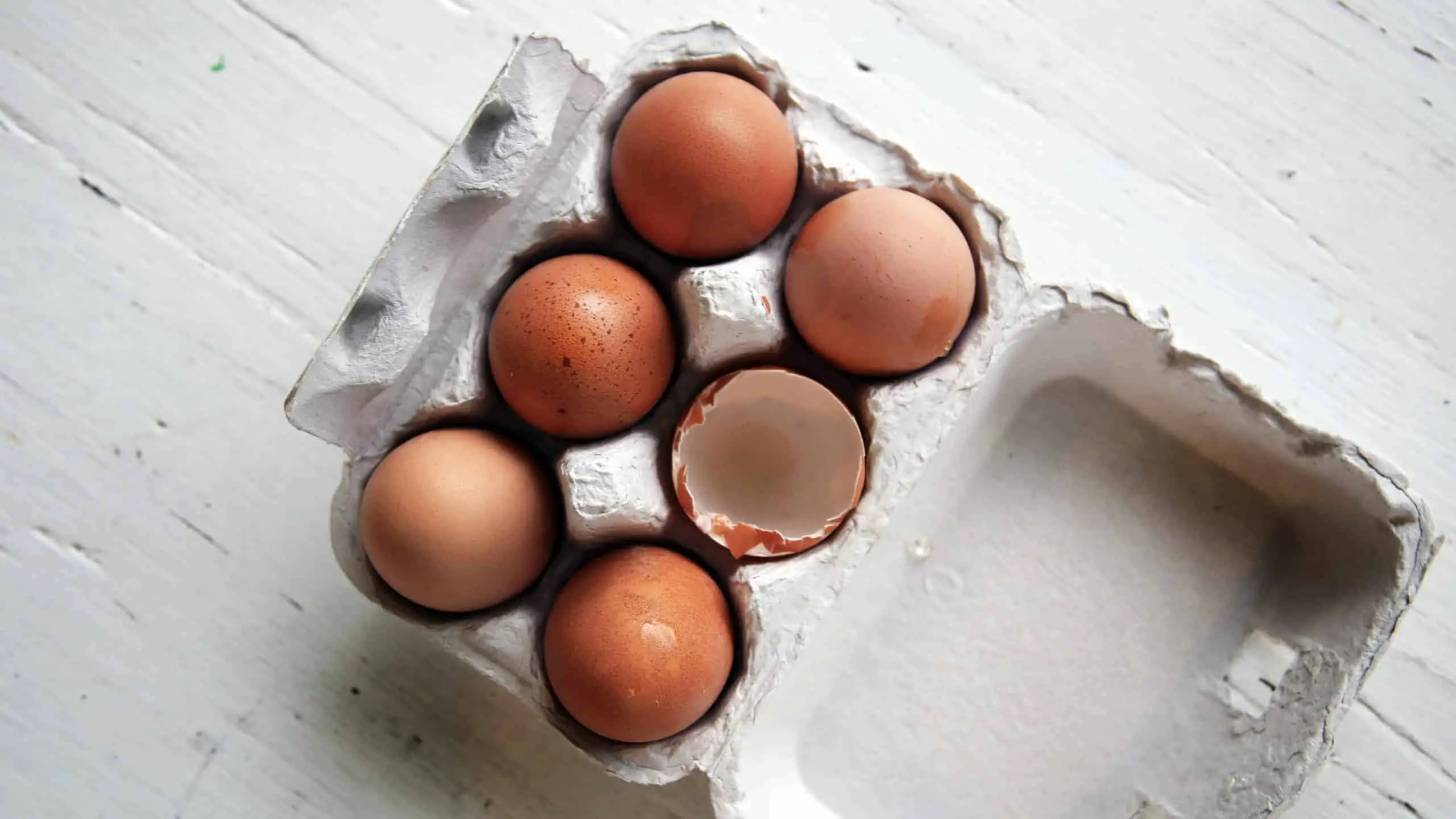 Lee más sobre el artículo Cómo Reemplazar el Huevo En Tu Cocina