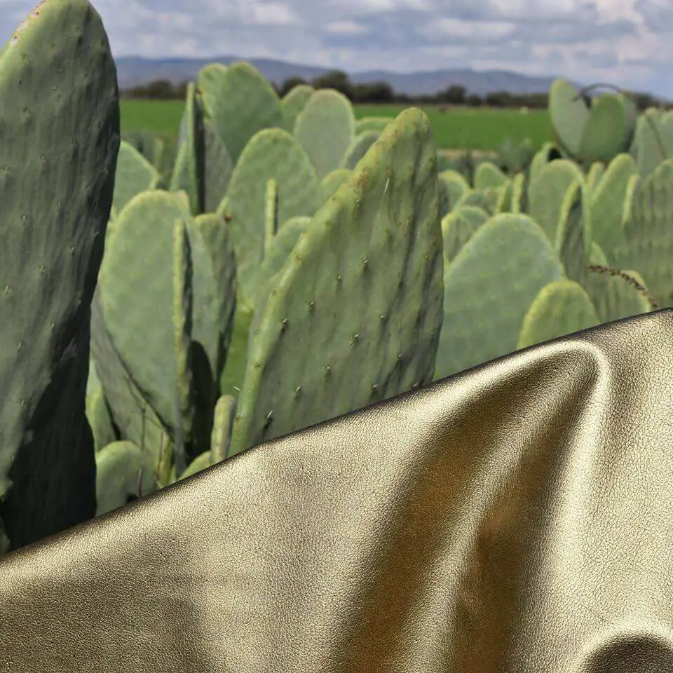 Lee más sobre el artículo México Lanza Cuero Hecho de Cactus
