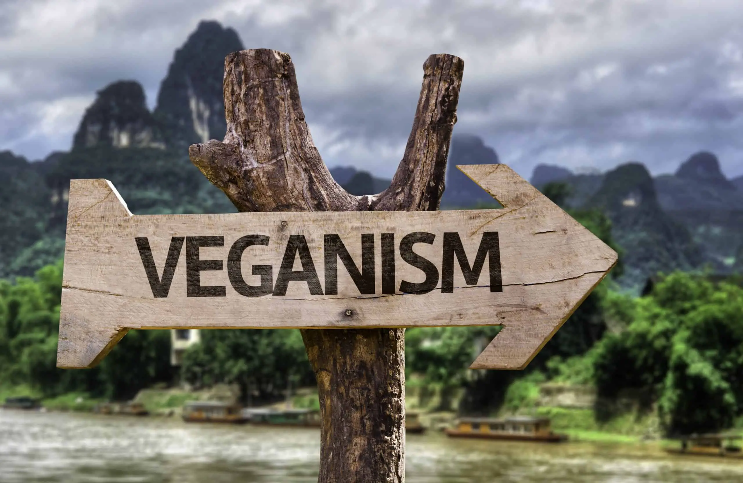 Lee más sobre el artículo Los Avances Veganos Más Importantes de 2019