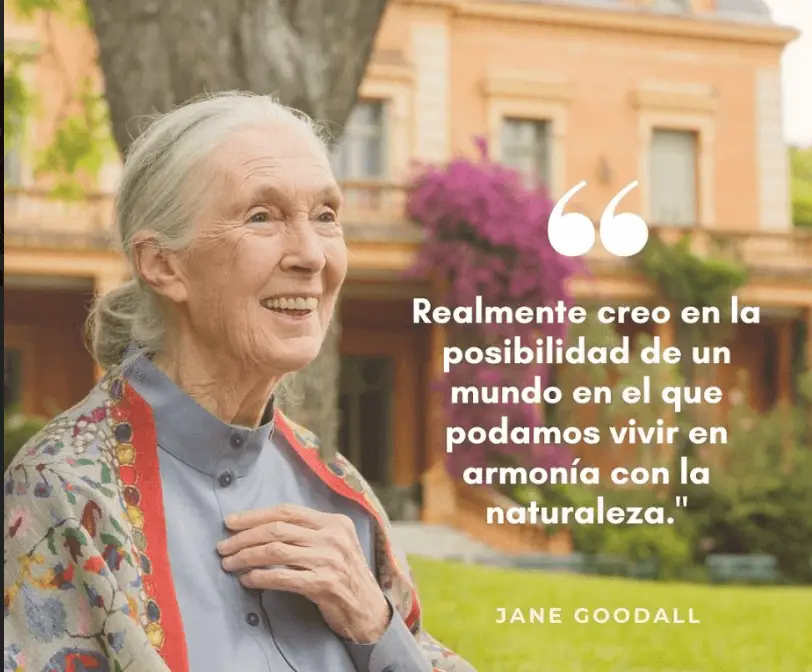 Lee más sobre el artículo Únete A La Charla Gratuita Con Jane Goodall: Razones Para La Esperanza