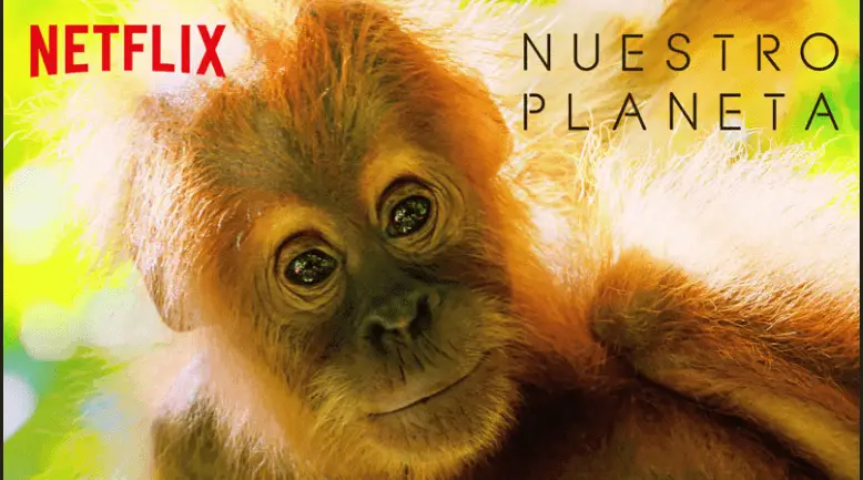 Lee más sobre el artículo “Nuestro Planeta”, La Miniserie Documental Que Es Furor En Netflix