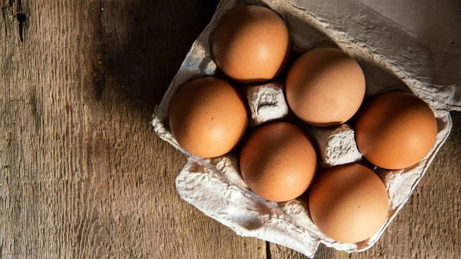 Lee más sobre el artículo Todo Lo Que Necesitas Saber Sobre Los Huevos De Gallinas Libres