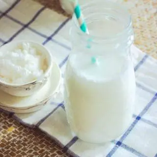 leche de coco hola vegan