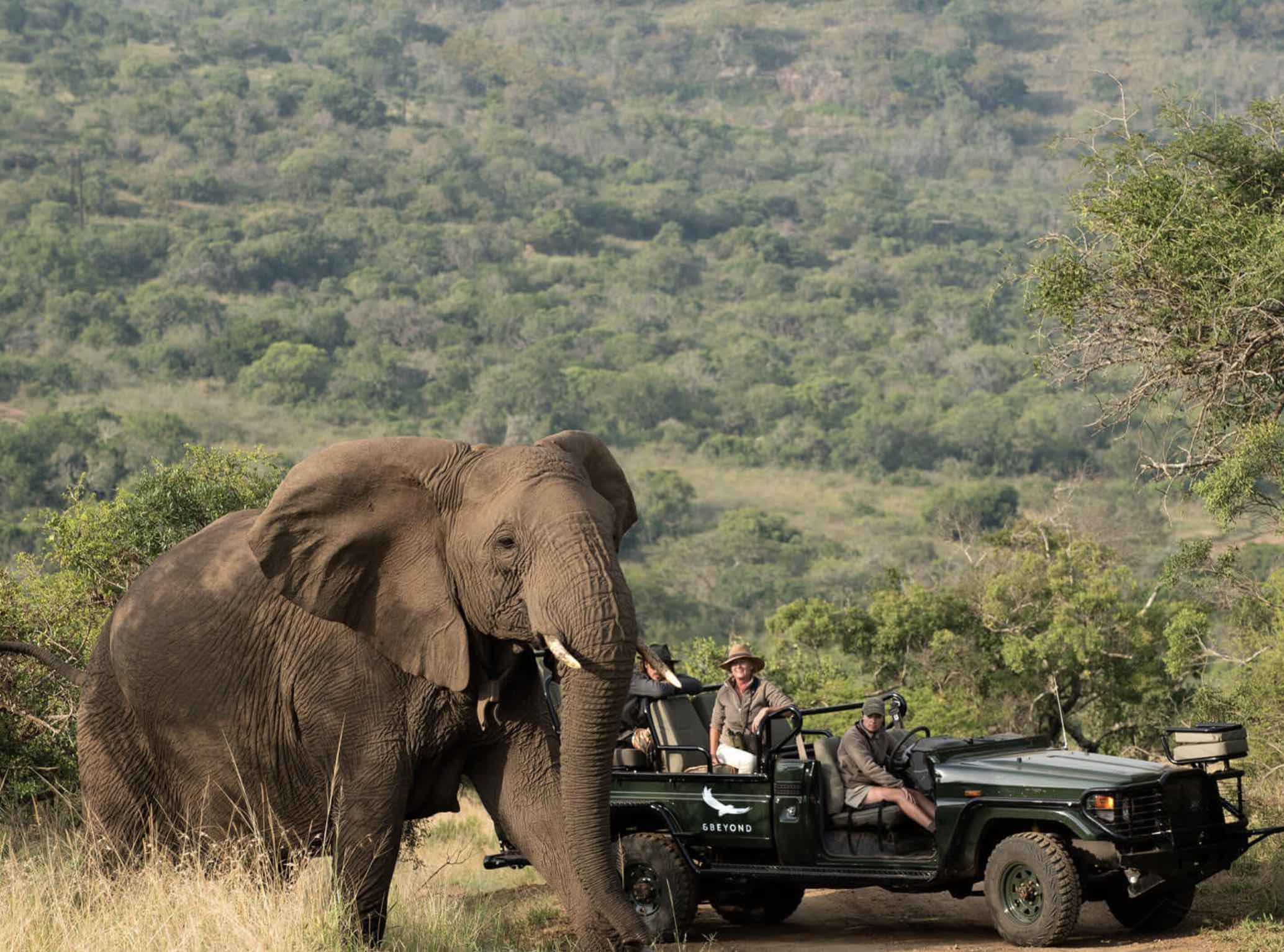 South Africa Safari Holiday Package